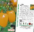 tomaatit lajit Buyan zheltyjj  kuva ja ominaisuudet