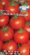 Tomatoes  Malchik-s-palchik grade Photo