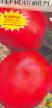tomaatit lajit Perfektpil F1 kuva ja ominaisuudet