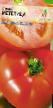 I pomodori le sorte Metelica foto e caratteristiche