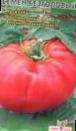 Толстой семена томат