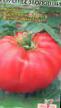 Los tomates  Semen bezgolovyjj variedad Foto