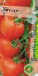 des tomates les espèces Avrelijj F1 Photo et les caractéristiques