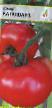 Tomatoes varieties Katyusha F1 Photo and characteristics