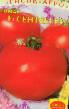 des tomates  Sentyabrina F1 l'espèce Photo