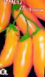 tomaatit lajit Petushok kuva ja ominaisuudet