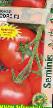 Tomatoes varieties Sors F1 Photo and characteristics