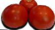 tomaatit lajit Bella Rosa F1 kuva ja ominaisuudet