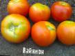 Los tomates  Vajjnmon plyus  variedad Foto