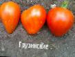 I pomodori le sorte Gruzinskie  foto e caratteristiche