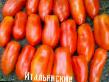 Ντομάτες  Italyanskie  ποικιλία φωτογραφία