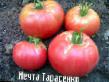tomaatit  Mechta Tarasenko laji kuva