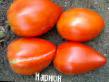 des tomates  Marion l'espèce Photo