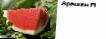 Sandia variedades Arashan F1 (Singenta) Foto y características