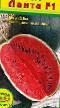 Wassermelone Sorten Lanta F1  Foto und Merkmale