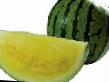 Vattenmelon sorter Triton F1 (bessemyannyjj) Fil och egenskaper