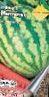 Wassermelone  Impuls  klasse Foto