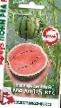 Vodní meloun druhy Ponm red F1 fotografie a charakteristiky