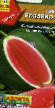 une pastèque les espèces Rozario F1 Photo et les caractéristiques