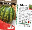 Watermelon varieties SRD-2 Dyutina  Photo and characteristics
