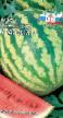 Watermelon  Lezheboka Medovyjj grade Photo