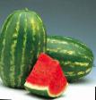 Watermelon varieties Kadizha F1 Photo and characteristics