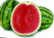 Vodní meloun druhy Dolbi F1 fotografie a charakteristiky