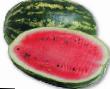 Watermelon varieties Dumara F1 Photo and characteristics