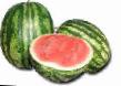 Watermelon  Montana F1 grade Photo