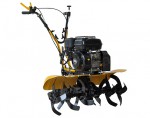 Beezone BT-5.5 BS, cultivator Photo